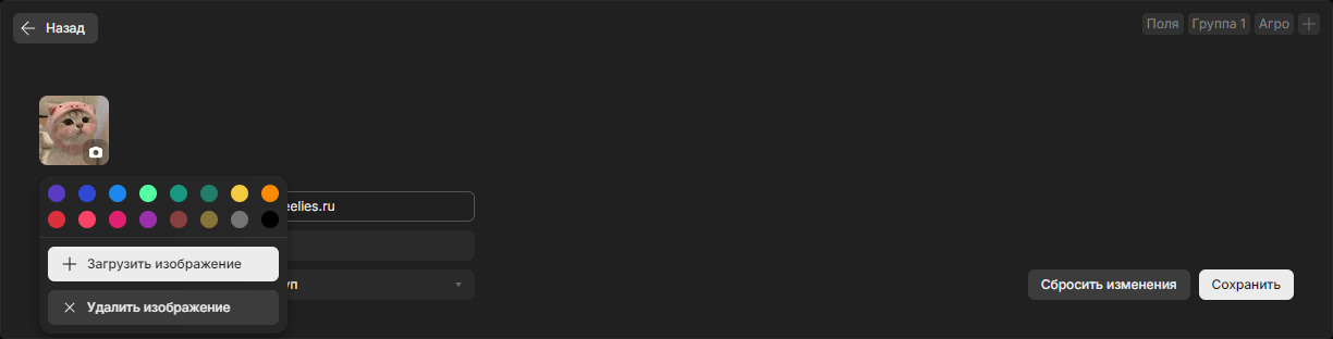 Форма редактирования профиля участника